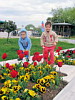 amlca in Tulip season.
